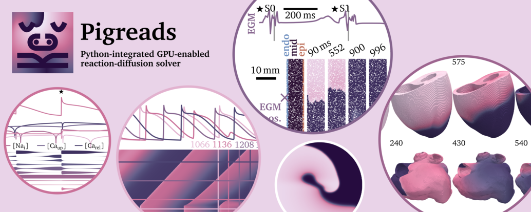 Graphical abstract illustrating some of the key features of Pigreads.