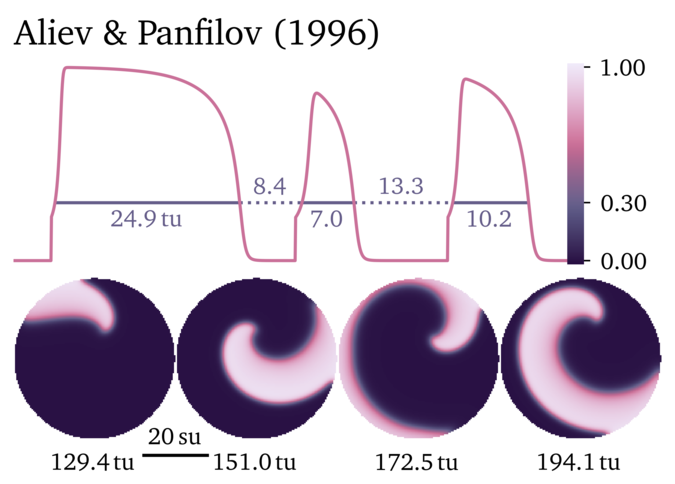 Figure illustrating the Aliev & Panfilov 1996 model.