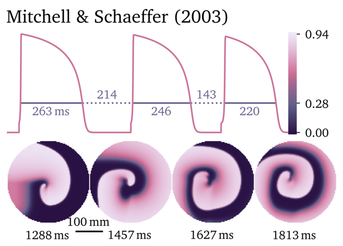 Figure illustrating the Mitchell & Schaeffer 2003 model.