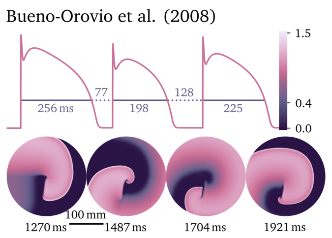 Figure illustrating the Bueno-Orovio et al. 2008 model.