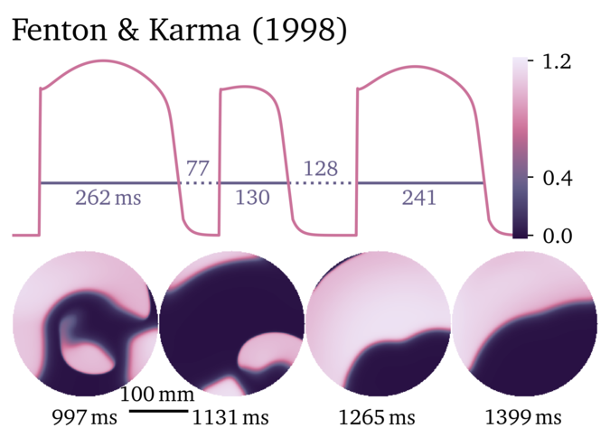 Figure illustrating the Fenton & Karma 1998 model.