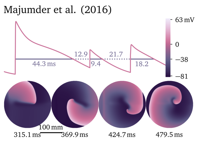 Figure illustrating the Majumder et al. 2016 model.