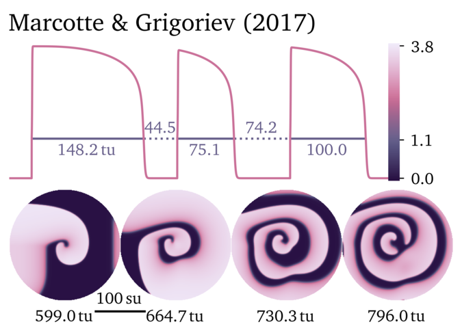 Figure illustrating the Marcotte & Grigoriev 2017 model.