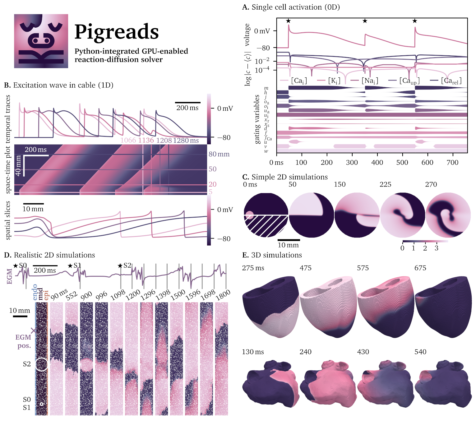 Pigreads can be used to solve reaction-diffusion systems in up to three dimensions.